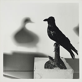 William Wegman - Duck, 81351-115, Van Ham Kunstauktionen