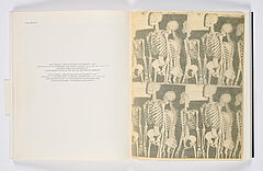 Andy Warhol - Photo-Edition for Parkett fuer Parkett 12, 77046-16, Van Ham Kunstauktionen