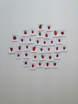 Hans-Peter Feldmann - Ein Pfund Erdbeeren 34 Fotos, 56801-1578, Van Ham Kunstauktionen