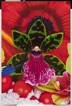 Marc Quinn - Emperor Penguins Hunting Ground, 82000-351, Van Ham Kunstauktionen