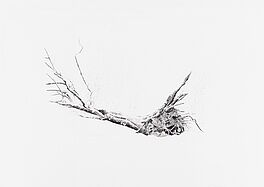 Rachel Goodyear - Fallen Tree, 68003-466, Van Ham Kunstauktionen