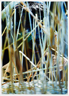 Auktion 317 Los 365, 50887-45, Van Ham Kunstauktionen