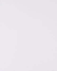 Allan DArcangelo - Ohne Titel Aus AAp 12, 69450-7, Van Ham Kunstauktionen