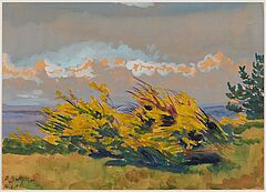 Elisabeth Buechsel - Bluehende Ginsterbuesche im Wind auf Hiddensee, 81533-1, Van Ham Kunstauktionen