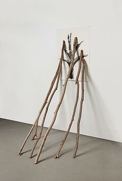 Giuseppe Penone - La velocita del vegetale Il lento ripetersi della scultura 6 Biforcazioni, 81209-38, Van Ham Kunstauktionen