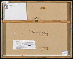 Jan Balet - Maiausflug, 66619-1, Van Ham Kunstauktionen