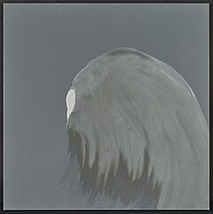 Daniel Lergon - Ohne Titel, 76355-4, Van Ham Kunstauktionen