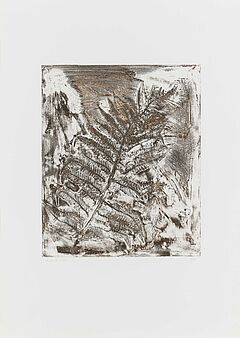 Thomas Schuette - Fleurs pour M Duchamp, 68003-657, Van Ham Kunstauktionen