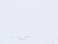 Roman Signer - Versuch in der Garage, 66470-5, Van Ham Kunstauktionen