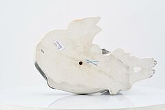 Meissen - Japanischer Chinhund, 75074-55, Van Ham Kunstauktionen