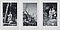 Anna  Bernhard Blume - Serie von 3 Fotografien, 65566-9, Van Ham Kunstauktionen