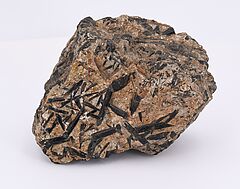 Gruppe von verschiedenen Mineralien und 3 Versteinerungen, 68008-470, Van Ham Kunstauktionen