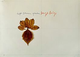 Joseph Beuys - Lasst Blumen sprechen, 79310-1, Van Ham Kunstauktionen