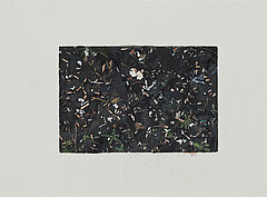 Catherine Hughes - Micrography, 300001-1872, Van Ham Kunstauktionen