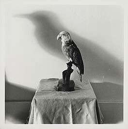 William Wegman - Crow, 81351-116, Van Ham Kunstauktionen