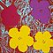 Andy Warhol - Flowers, 69502-1, Van Ham Kunstauktionen