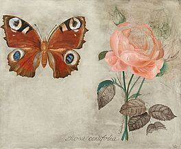 Jiri Anderle - Rosa centifolia, 81616-1, Van Ham Kunstauktionen