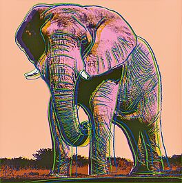 Andy Warhol - African Elephant, 77764-1, Van Ham Kunstauktionen