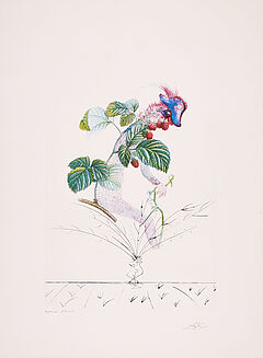 Salvador Dali - Framboisier Aus Flordali Les Fruits, 75987-3, Van Ham Kunstauktionen
