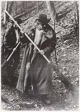 Mappenwerk - Strauss Mappe, 56675-2, Van Ham Kunstauktionen