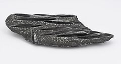 Fossile Orthoceras Platte, 68008-441, Van Ham Kunstauktionen