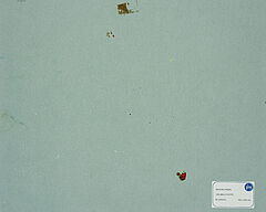 Siegward Sprotte - Seelandschaft, 76827-2, Van Ham Kunstauktionen