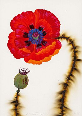LC Armstrong - Red Oriental Poppy, 300001-31, Van Ham Kunstauktionen
