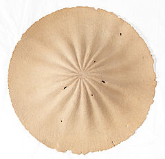 Morio Nishimura - Suesser Regen 6, 82000-317, Van Ham Kunstauktionen