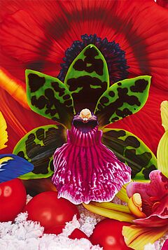 Marc Quinn - Emperor Penguins Hunting Ground, 82000-351, Van Ham Kunstauktionen