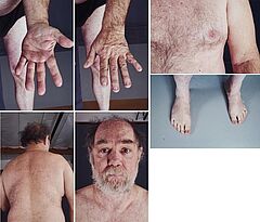 Paul McCarthy - Peter Paul Skin Sample fuer Parkett 73, 77046-191, Van Ham Kunstauktionen