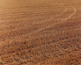 Boris Becker - Feld 1310, 81351-10, Van Ham Kunstauktionen