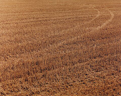 Boris Becker - Feld 1310, 81351-10, Van Ham Kunstauktionen