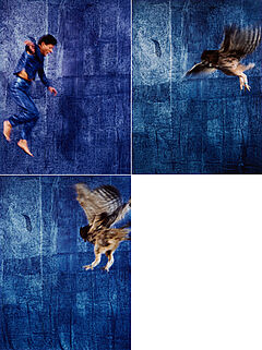 Jan Fabre - Konvolut von 3 Fotografien, 81194-1, Van Ham Kunstauktionen