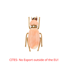 Auktion 1266 Los 105, 80843-2, Van Ham Kunstauktionen