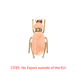 Auktion 1266 Los 105, 80843-2, Van Ham Kunstauktionen