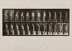 Eadweard Edward James Muybridge - Auktion 301 Los 1140, 46887-6, Van Ham Kunstauktionen