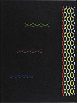 Diango Hernandez - Ohne Titel, 73601-7, Van Ham Kunstauktionen