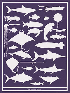 Mark Dion - Serie von 6 Druckgrafiken, 70636-3, Van Ham Kunstauktionen