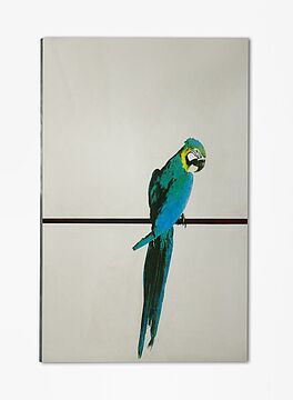 Michelangelo Pistoletto - Pappagallo, 55239-20, Van Ham Kunstauktionen