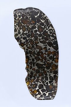 Scheibe des Pallasovka Meteoriten, 68008-448, Van Ham Kunstauktionen