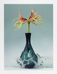 Martin Klimas - Ohne Titel Amaryllis, 70001-766, Van Ham Kunstauktionen