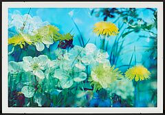 Peter Fischli und David Weiss - Ohne Titel Blumen Nr 184, 76109-5, Van Ham Kunstauktionen