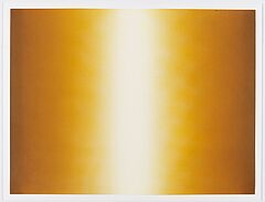 Anish Kapoor - Shadow, 70001-759, Van Ham Kunstauktionen