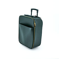 Louis Vuitton - Pegase 50, 81835-13, Van Ham Kunstauktionen