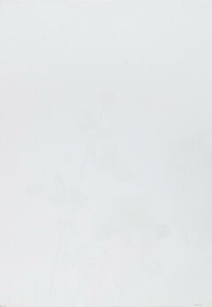 Joseph Beuys - ohne die Rose tun wirs nicht, 58062-48, Van Ham Kunstauktionen