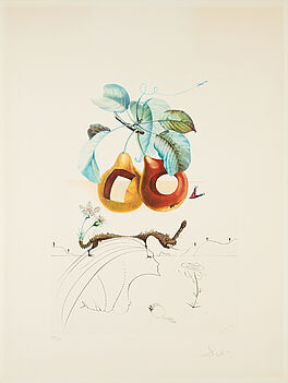 Salvador Dali - Fruits troues Aus FlordaliLes Fruits, 77579-2, Van Ham Kunstauktionen