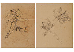 Friedrich Kallmorgen - Konvolut aus zwei Naturstudien Baumstudie Studie zu Papageientulpen, 69447-99, Van Ham Kunstauktionen