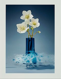 Martin Klimas - Ohne Titel Helleborus V, 78061-8, Van Ham Kunstauktionen