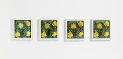 Andy Warhol - Detail of Construction Rain and Flowers, 57875-2, Van Ham Kunstauktionen