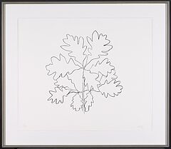 Ellsworth Kelly - Oak VI, 70001-762, Van Ham Kunstauktionen